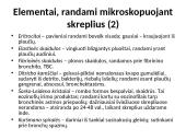 Skreplių tyrimas 17 puslapis