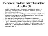 Skreplių tyrimas 18 puslapis