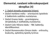 Skreplių tyrimas 19 puslapis