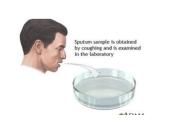 Skreplių tyrimas 5 puslapis