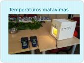 Skaidrės - šilumos laidumas 17 puslapis