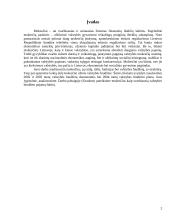 Mokesčiai ir biudžetas 2 puslapis