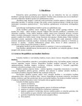 Mokesčiai ir biudžetas 11 puslapis