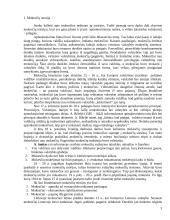 Mokesčiai ir biudžetas 3 puslapis