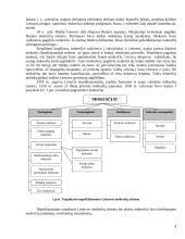 Mokesčiai ir biudžetas 4 puslapis