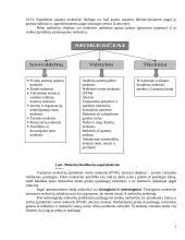 Mokesčiai ir biudžetas 7 puslapis