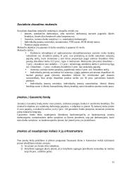 Mokesčių esmė ir mokesčiai Lietuvoje 13 puslapis