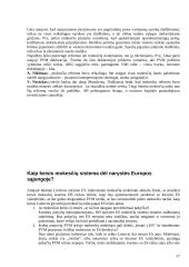 Mokesčių esmė ir mokesčiai Lietuvoje 17 puslapis
