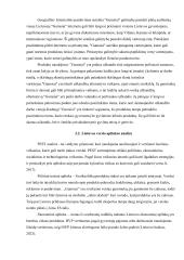 Prekės ženklo „Gumsiai“ formavimas ir komunikacijos sprendimai 12 puslapis