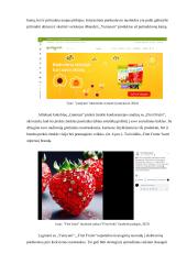 Prekės ženklo „Gumsiai“ formavimas ir komunikacijos sprendimai 18 puslapis