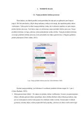 Prekės ženklo „Gumsiai“ formavimas ir komunikacijos sprendimai 5 puslapis