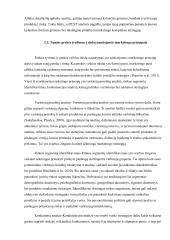 Prekės ženklo „Gumsiai“ formavimas ir komunikacijos sprendimai 8 puslapis