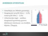 Amerikos ekonomika, krizių valdymas, kultūrinė įvairovė ir komunikacija 5 puslapis