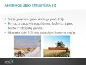 Amerikos ekonomika, krizių valdymas, kultūrinė įvairovė ir komunikacija 6 puslapis