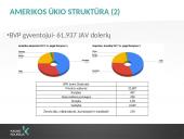 Amerikos ekonomika, krizių valdymas, kultūrinė įvairovė ir komunikacija 7 puslapis