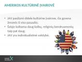 Amerikos ekonomika, krizių valdymas, kultūrinė įvairovė ir komunikacija 8 puslapis