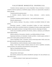 Mokesčiai bei elektroninio deklaravimo sistema 4 puslapis