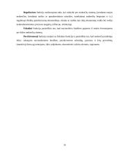 Mokesčiai bei elektroninio deklaravimo sistema 9 puslapis