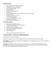 Embriono vystymasis 2 puslapis