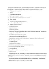 Mokesčiai ir jų administravimas 3 puslapis