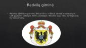 Radvilų giminės nuopelnai lietuvių kultūrai ir literatūrai (nuo Renesanso iki Baroko) 2 puslapis