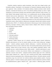 Mokesčių administravimas Lietuvoje 11 puslapis