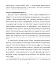 Mokesčių administravimas Lietuvoje 13 puslapis