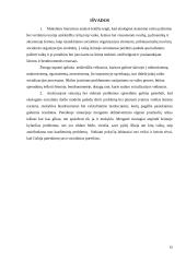 Socialinio darbo praktikos modelis: ekologinis (gyvenimo modelis) 14 puslapis