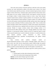 Socialinio darbo praktikos modelis: ekologinis (gyvenimo modelis) 2 puslapis