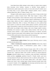 Socialinio darbo praktikos modelis: ekologinis (gyvenimo modelis) 4 puslapis