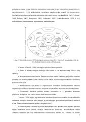 Socialinio darbo praktikos modelis: ekologinis (gyvenimo modelis) 6 puslapis
