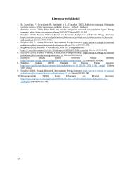 Suomijos ir Estijos valstybinių švietimo tikslų lyginamoji analizė 11 puslapis