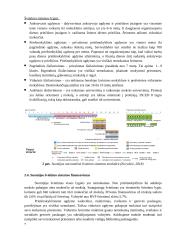 Suomijos ir Estijos valstybinių švietimo tikslų lyginamoji analizė 6 puslapis