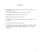 Mokesčių administravimo samprata 11 puslapis