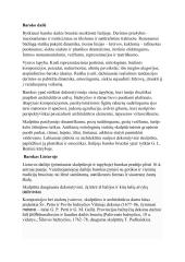 Rašto darbas apie baroką 2 puslapis