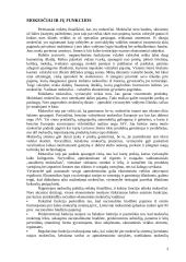 Mokesčių funkcijos ir politika Lietuvoje 3 puslapis
