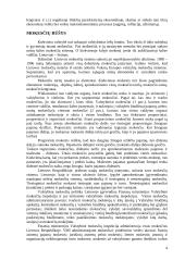 Mokesčių funkcijos ir politika Lietuvoje 4 puslapis