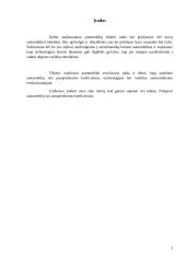 Transporto evoliucija 2 puslapis