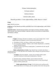 Beatričės paveikslas J. Grušo tragikomedijoje ,,Meilė, džiazas ir velnias“. Planas