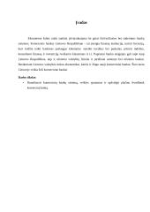 Komercinių bankų sistema Lietuvoje 2 puslapis