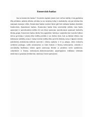 Komercinių bankų sistema Lietuvoje 3 puslapis