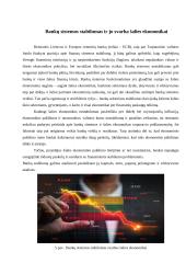 Komercinių bankų sistema Lietuvoje 9 puslapis