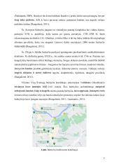 Vilniaus miesto barokinio architektūros stiliaus bažnyčių skaitmeninio turinio  sukūrimas 6 puslapis