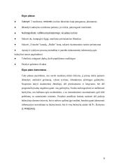 Vilniaus miesto barokinio architektūros stiliaus bažnyčių skaitmeninio turinio  sukūrimas 8 puslapis