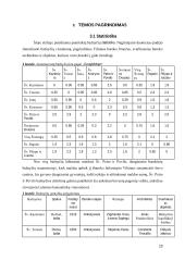 Vilniaus miesto barokinio architektūros stiliaus bažnyčių skaitmeninio turinio  sukūrimas 9 puslapis