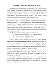 Mokesčių sistemos vertinimas 3 puslapis