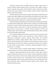 Mokesčių sistemos vertinimas 4 puslapis