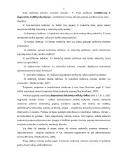 Mokesčių sistemos vertinimas 5 puslapis