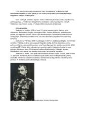 Lietuva seimų ir A. Smetonos laikotarpyje 3 puslapis