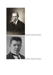 Lietuva seimų ir A. Smetonos laikotarpyje 5 puslapis